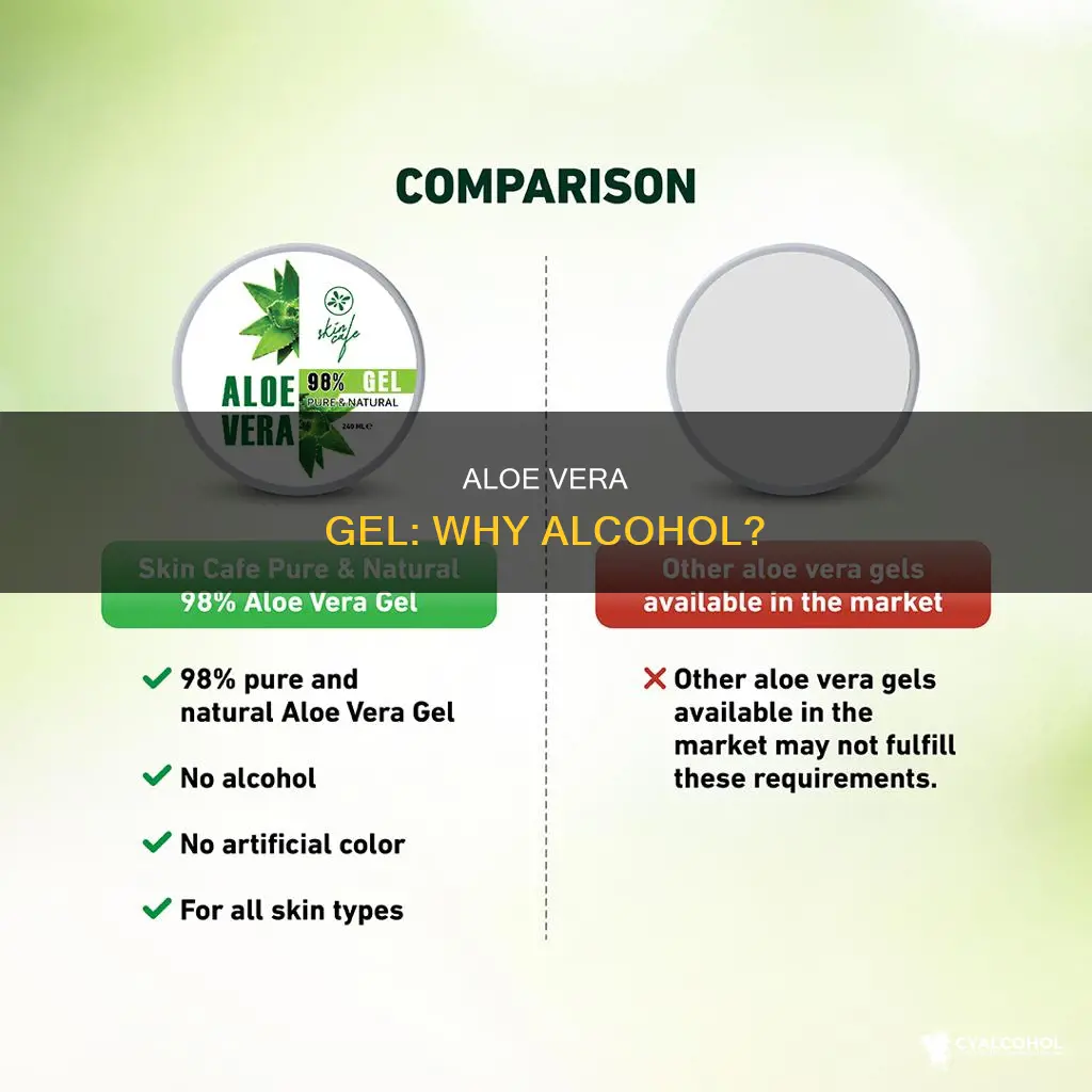 why does aloe vera gel have alcohol in it