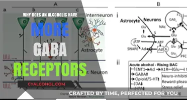 Alcoholism and GABA Receptors: Understanding the Brain's Adaptation