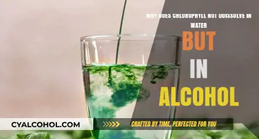Chlorophyll's Solubility: Water vs Alcohol
