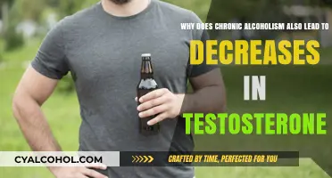 Alcoholism: Testosterone's Foe