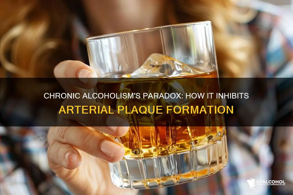 why does chronic alcoholism prevent arterial plaque formation