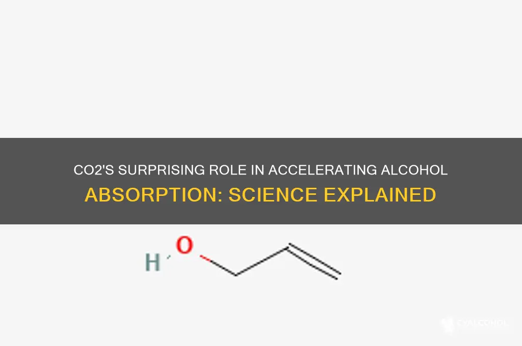why does co2 speed up absorption of alcohol