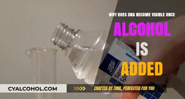 DNA, Alcohol, and the Magic Unveiling