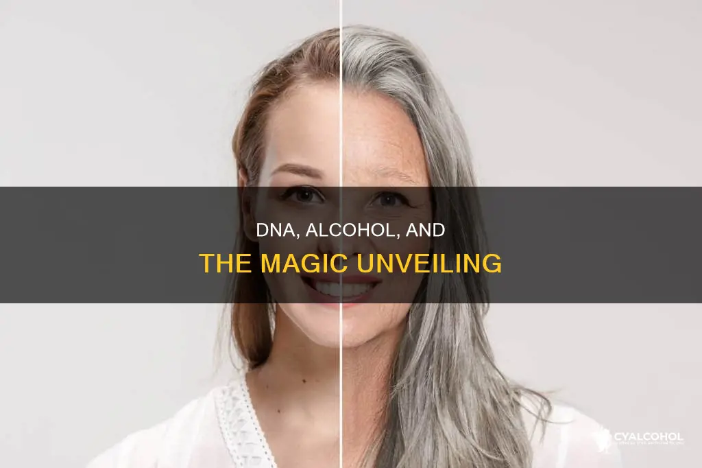 why does dna become visible once alcohol is added