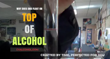 Why DNA Floats on Alcohol: Unraveling the Science Behind Extraction