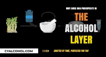 Why DNA Precipitates in Alcohol: A Molecular Explanation