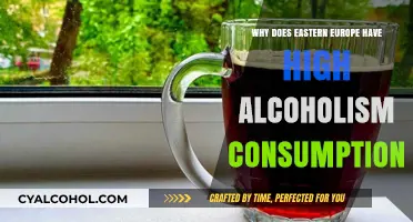 Eastern Europe's Alcoholism Crisis: Historical, Social, and Economic Factors Explained