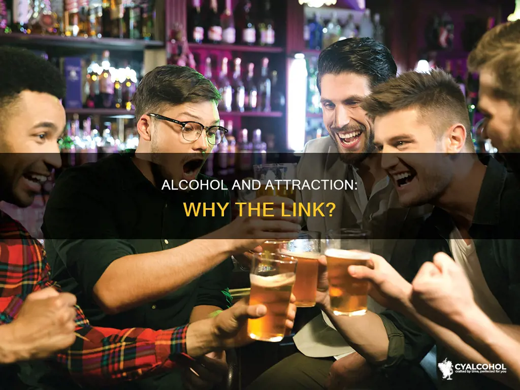 why does everyone seem attractive when you have alcohol