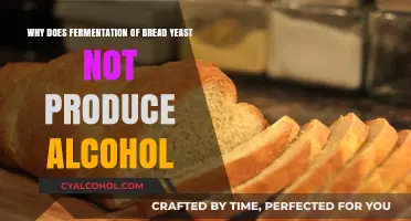 Fermentation of Bread Yeast: Alcohol-Free Science