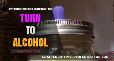 Why Fermented Sauerkraut Doesn't Turn to Alcohol: The Science Explained