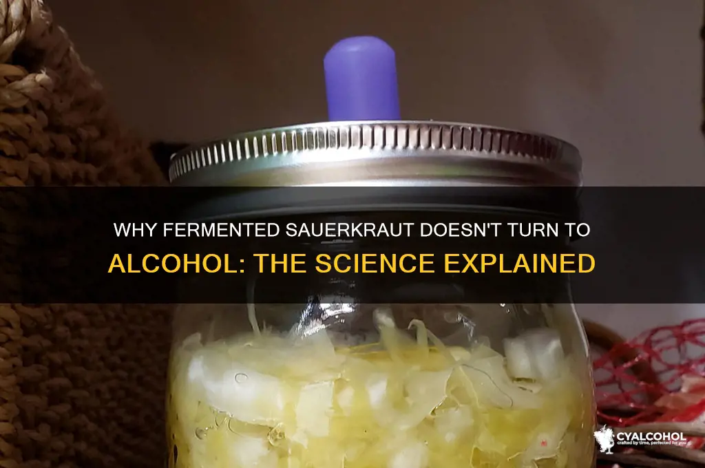 why does fermented sauerkraut not turn to alcohol