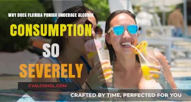Florida's Harsh Penalties for Underage Drinking
