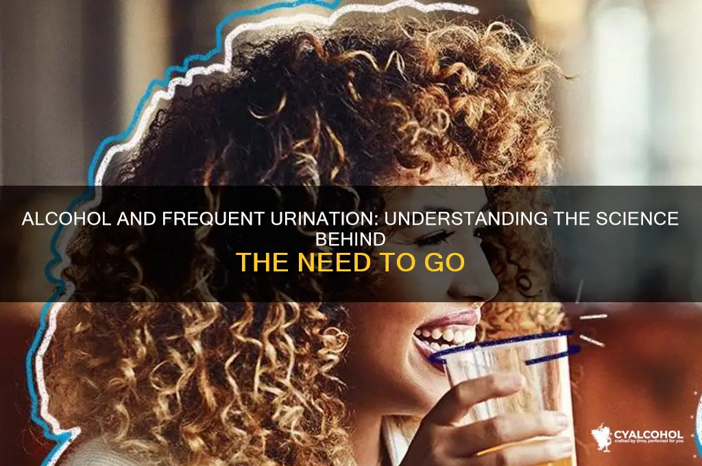 why does frequent urination occur after alcohol consumption