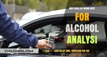 Gas Chromatography: Optimal Technique for Precise Alcohol Analysis Explained