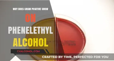 Why Gram-Positive Bacteria Thrive on Phenylethyl Alcohol: Explained
