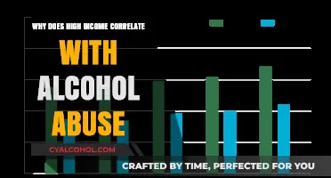 High Earnings, High Risks: Exploring Income and Alcohol Abuse Links