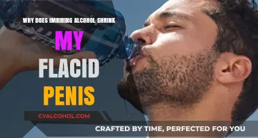 Alcohol's Impact: Understanding Flaccid Penis Shrinkage After Drinking