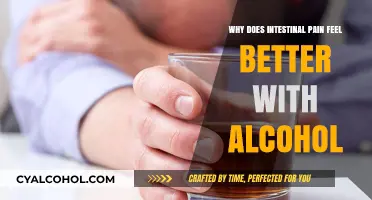 Alcohol's Soothing Effect on Intestinal Pain: Causes and Concerns Explained
