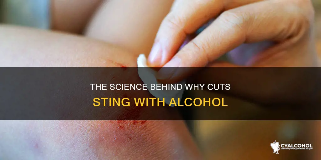 why does it hurt to put alcohol on a cut