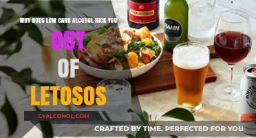 Low-Carb Alcohol: Ketosis Friend or Foe?