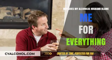 Alcoholism and Blame: My Husband's Fault Game
