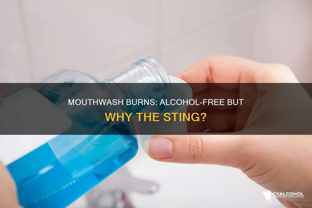 why does my mouthwash burn when there is no alcohol