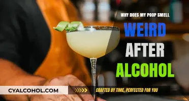Why Alcohol Makes Your Poop Smell Weird: Causes Explained
