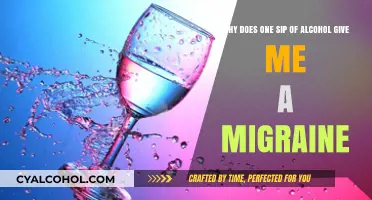 Alcohol and Migraines: Understanding the One-Sip Trigger