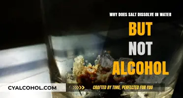 Salt's Solubility: Water vs. Alcohol