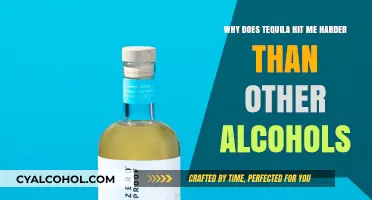 Tequila's Unique Effect: Why the Hard Hit?
