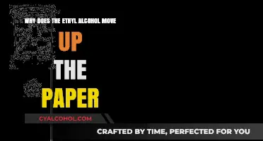 How Ethyl Alcohol Climbs: Capillary Action Explained