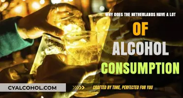 Dutch Drinking Culture: Why So Much Alcohol?