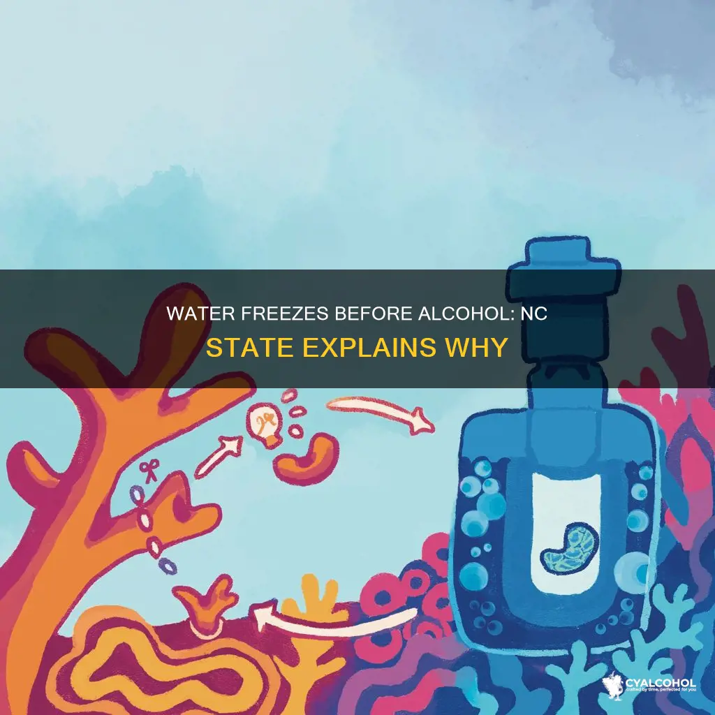 why does water freeze before alcohol does nc state news