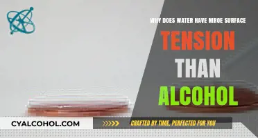 Water's Surface Tension: Why More Than Alcohol?