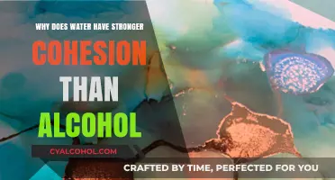 Water's Superior Cohesion: Unraveling the Science Behind Its Strength Over Alcohol