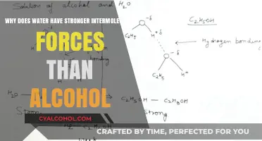 Water's Superior Intermolecular Strength Over Alcohol
