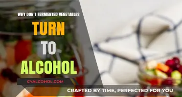 Why Fermented Veggies Don’t Turn to Alcohol: The Science Explained
