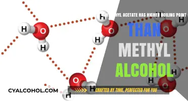Boiling Points: Ethyl Acetate vs. Methyl Alcohol