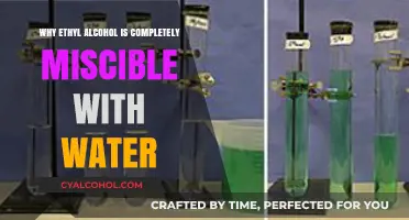 Why Ethyl Alcohol and Water Mix Perfectly: A Molecular Explanation