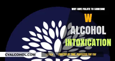 Folate's Role in Supporting Recovery from Alcohol Intoxication: Key Benefits