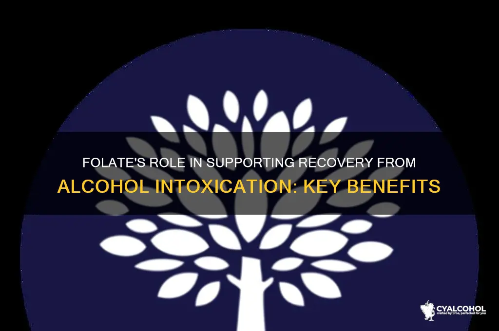 why give folate to someone w alcohol intoxication
