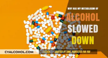 Why Your Alcohol Metabolism Slows Down: Causes and Solutions