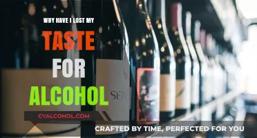 Why Alcohol No Longer Appeals: Exploring My Lost Taste for Drinks