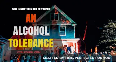 Why Humans Haven't Evolved Alcohol Tolerance: Unraveling the Mystery