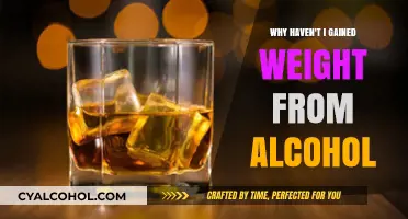 Why Alcohol Isn’t Making You Gain Weight: Surprising Truths Explained