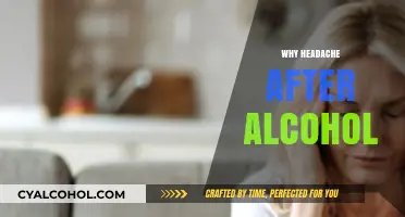 Why Alcohol Triggers Headaches: Understanding the Post-Drinking Pain