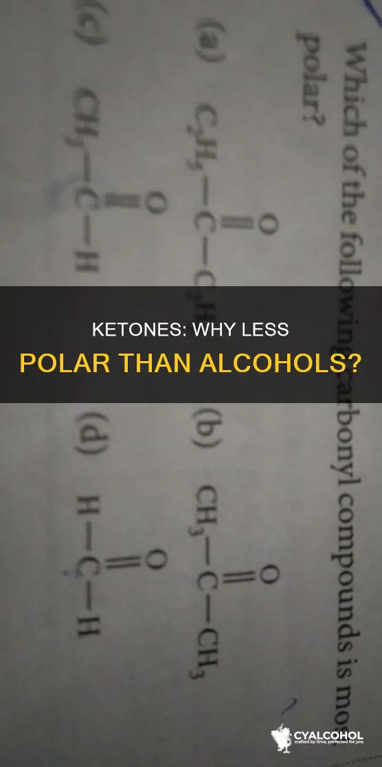 why is a ketone less polar than an alcohol