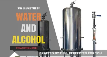 Understanding the Unique Properties of Water and Alcohol Mixtures