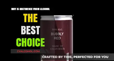 Abstinence from Alcohol: The Ultimate Path to Health and Clarity
