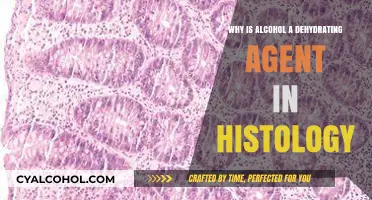 Alcohol's Dehydrating Role in Histology: Preserving Tissues for Microscopy